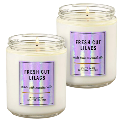 Scented Candles Gifts for Women, 4.4oz Aromatherapy Candle Stress Relief  Gifts for Women, 120H Burning, Natural Soy Wax Candles for Home Scented for  Thanksgiving/Birthday/Mother's Day/Bath, 4 Pack 